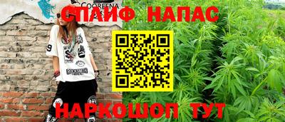 мдпв Надым